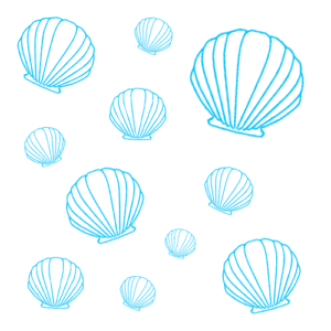 Seashells